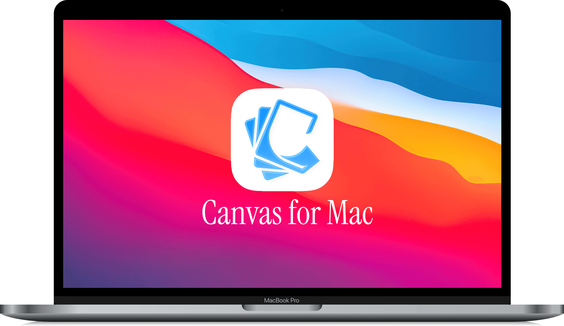 Canvas App Interface